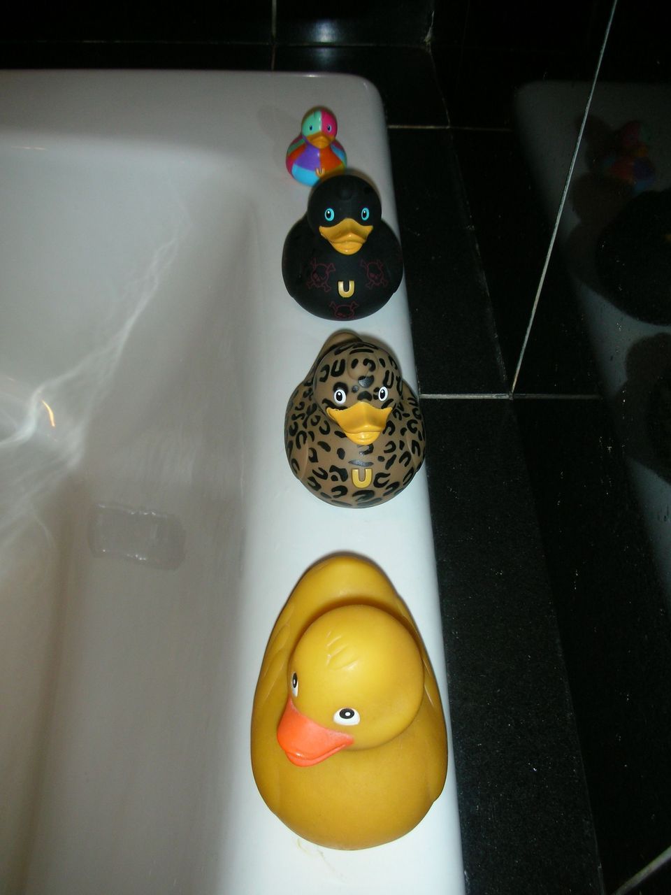 rubber duckies in line